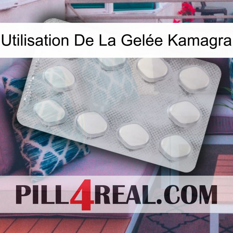 Utilisation De La Gelée Kamagra 16